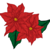 La Poinsettia