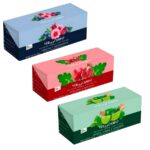 INFUSION HERBAL CON FRUTAS SABORES SURTIDOS